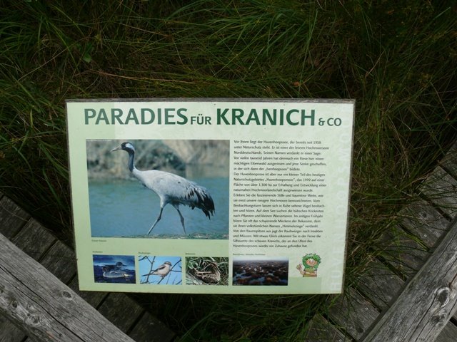 Kranich